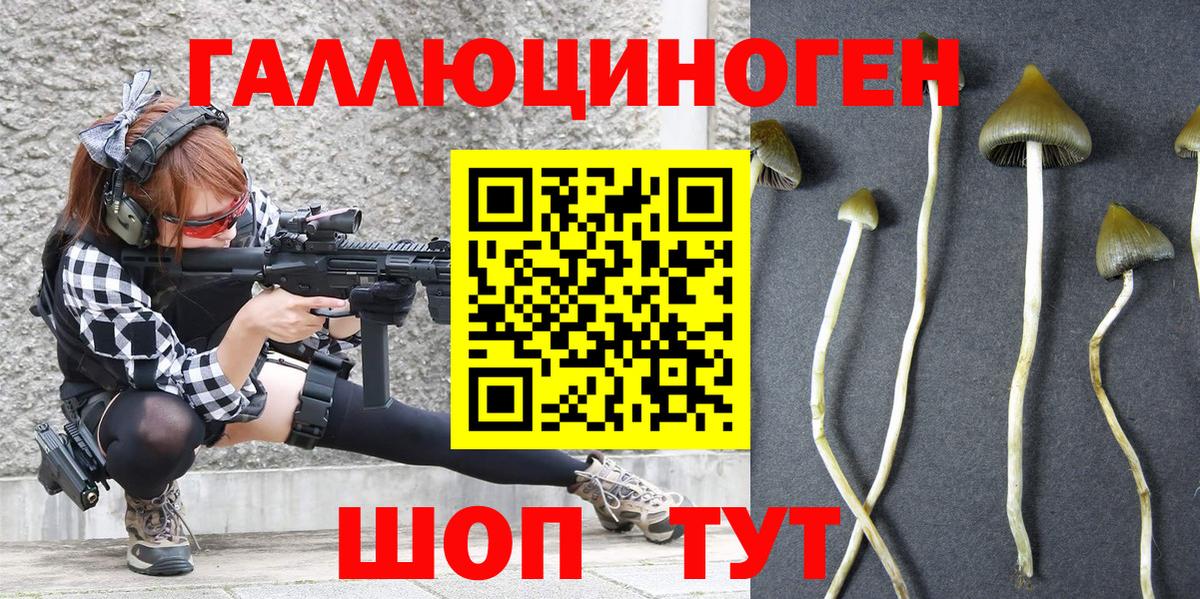 Глазов  Галлюциногенные грибы мицелий  Вход с VPN  Псилоцибиновые грибы Cubensis 